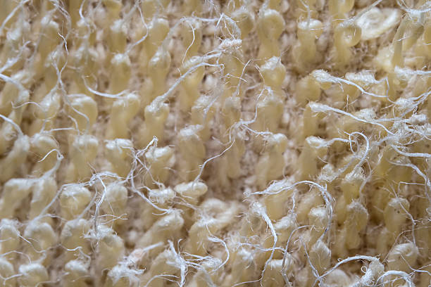 Placeholder for a close view of carpet fibres