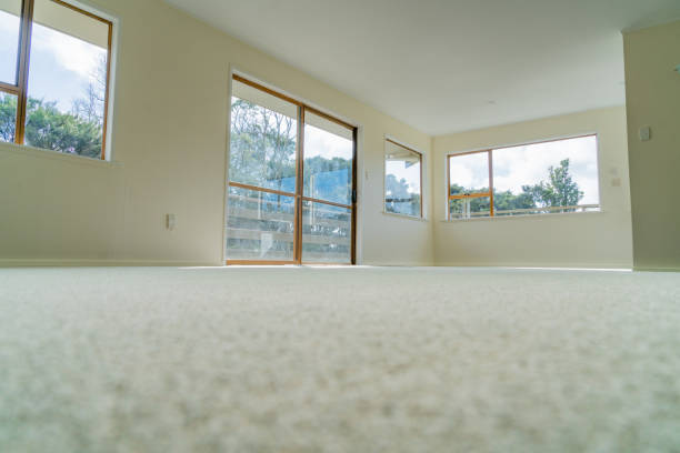 Placeholder for a clean residential carpet in Christchurch